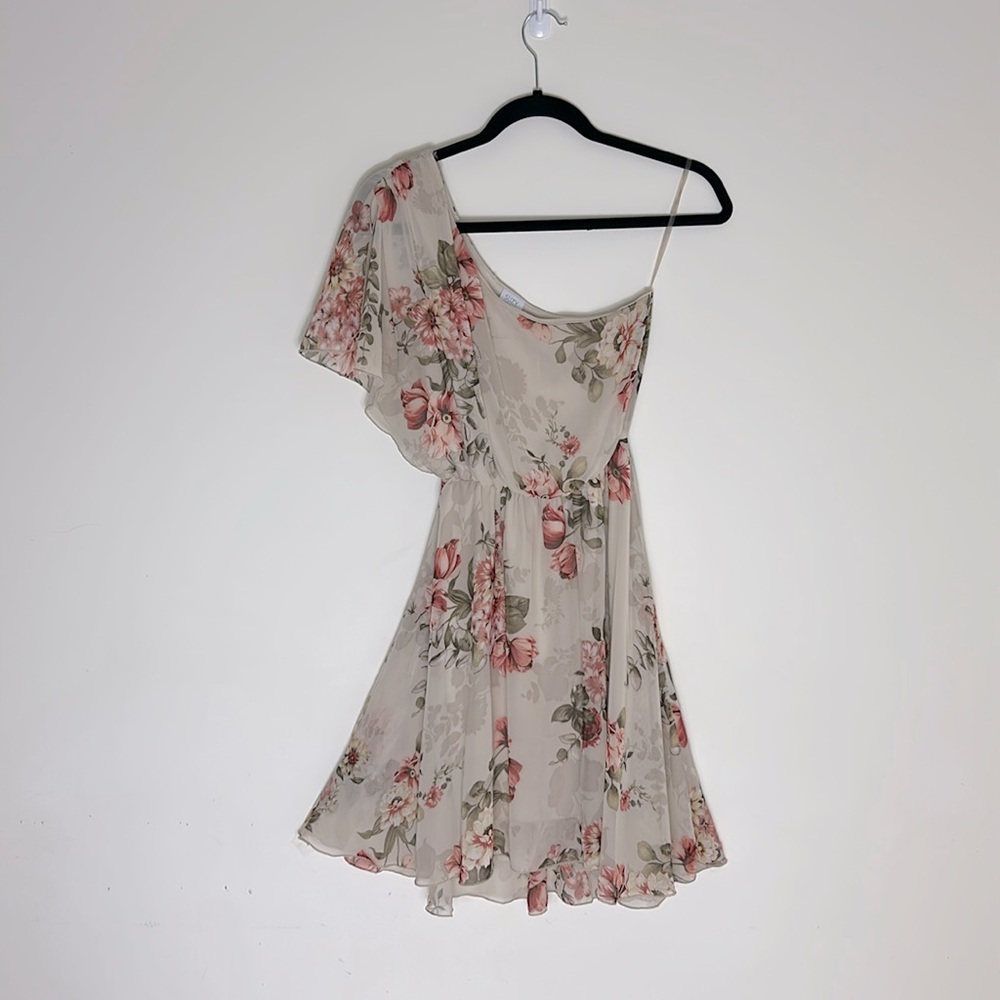 Suzy Shier Cream & Pink Floral Chiffon Dress, Lined, Size XS (Retro 2010s)